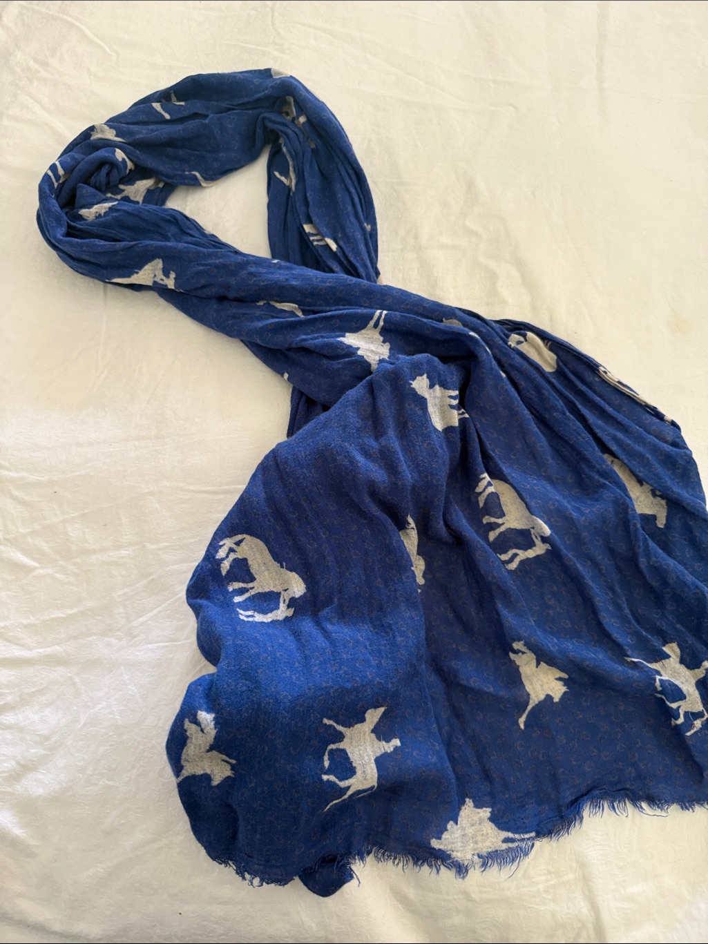 Cowboy Horse Mare Equestrian Kentucky Derby Polo Ranch Western Scarf Wrap